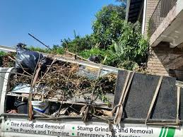 Best Construction Debris Removal  in Dayton, IN